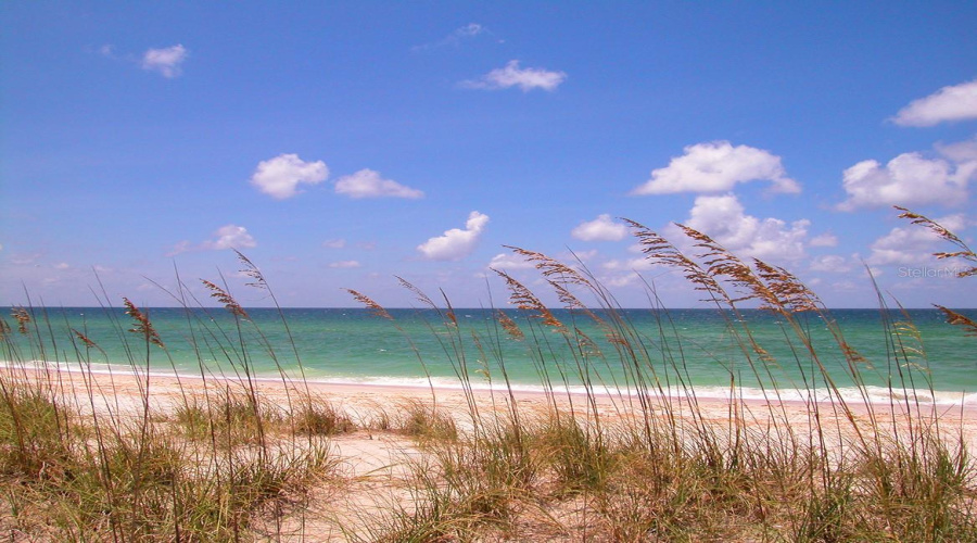 Sarasota, Florida 34236, 2 Bedroom Bedrooms, ,2 Bathroombathrooms,Residential,For Sale,Kumquat,0,Mfra4695129