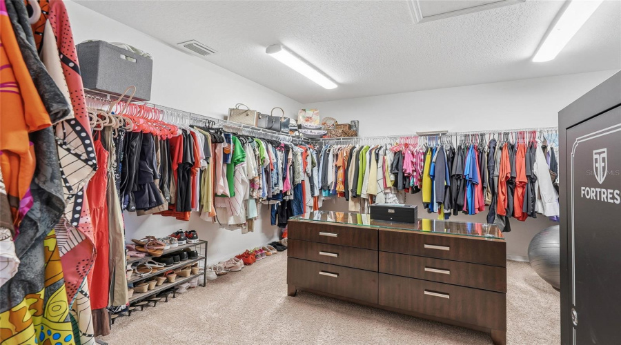 Enormous Primary Closet