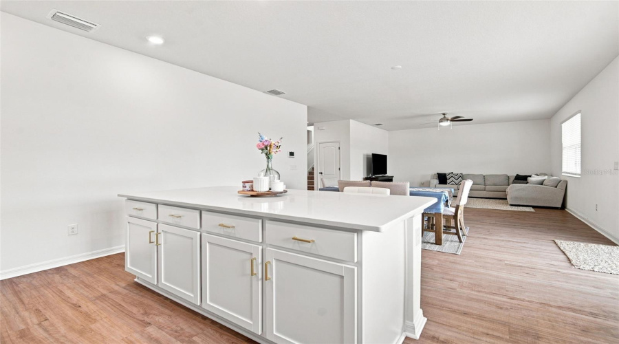 Land O Lakes, Florida 34638, 4 Bedroom Bedrooms, ,2 Bathroombathrooms,Residential,For Sale,Burning Opal,0,Mfrtb8537283