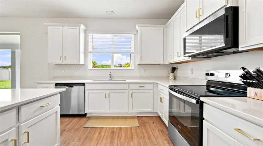 Land O Lakes, Florida 34638, 4 Bedroom Bedrooms, ,2 Bathroombathrooms,Residential,For Sale,Burning Opal,0,Mfrtb8537283