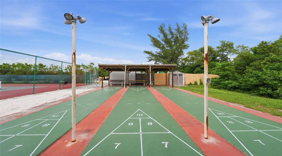 Shuffleboard