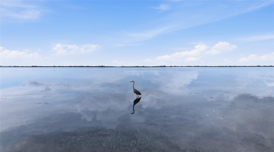 Bradenton, Florida 34210, 3 Bedroom Bedrooms, ,2 Bathroombathrooms,Residential,For Sale,Catalina,0,Mfra4702214