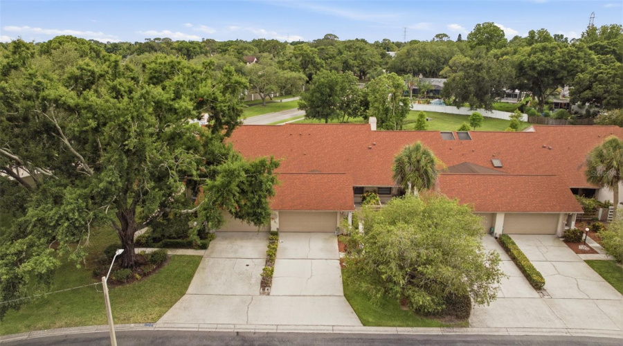 Palm Harbor, Florida 34684, 2 Bedroom Bedrooms, ,2 Bathroombathrooms,Residential,For Sale,Imperial Ridge,0,Mfrtb8518578