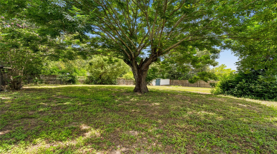 Zephyrhills, Florida 33541, 3 Bedroom Bedrooms, ,2 Bathroombathrooms,Residential,For Sale,Wicklow,0,Mfrtb8542174