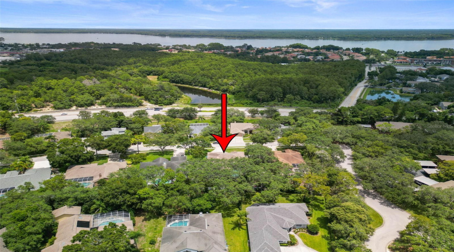 Palm Harbor, Florida 34683, 6 Bedroom Bedrooms, ,3 Bathroombathrooms,Residential,For Sale,Glenbrook,0,Mfrtb8539372