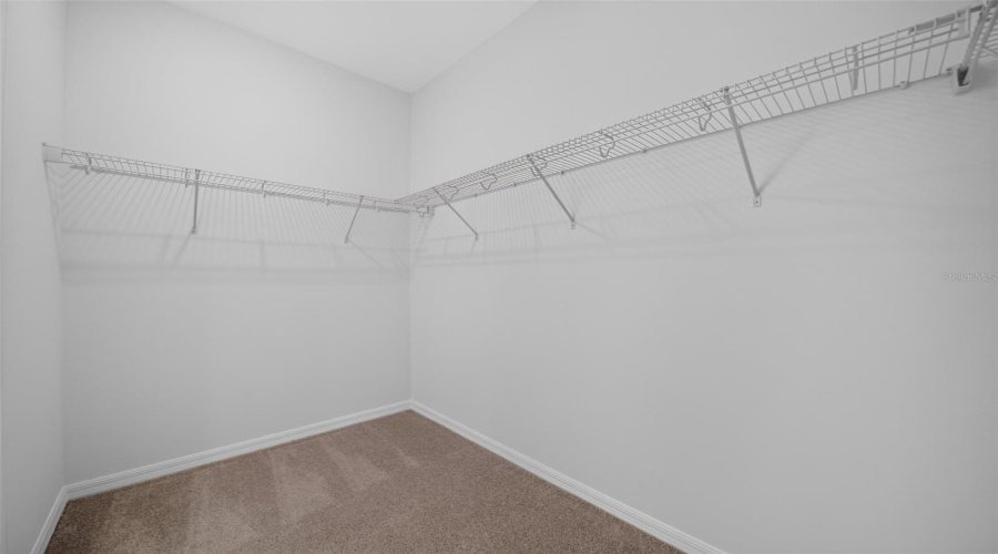 Windermere, Florida 34786, 3 Bedroom Bedrooms, ,2 Bathroombathrooms,Residential,For Sale,Lush Lime,0,Mfrtb8542700