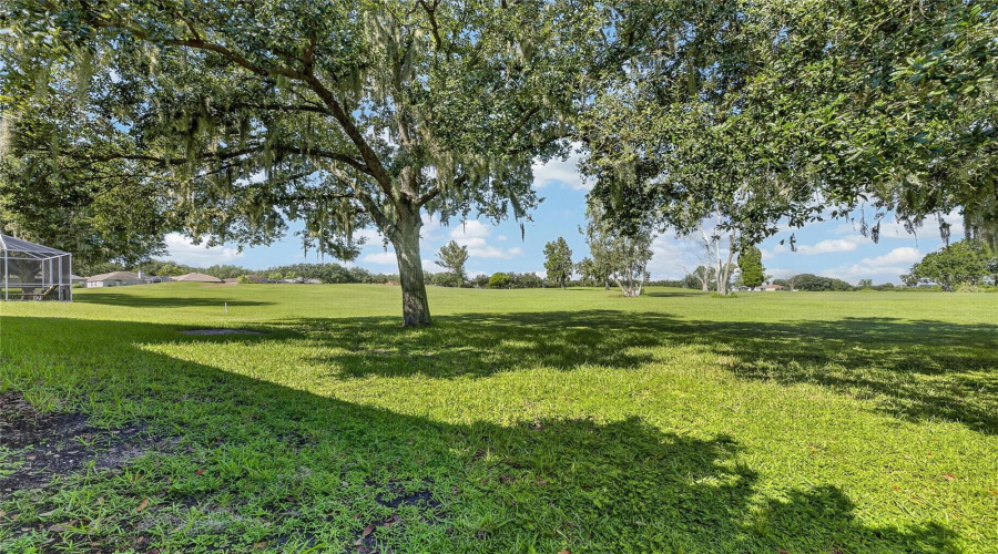 Valrico, Florida 33594, 5 Bedroom Bedrooms, ,3 Bathroombathrooms,Residential,For Sale,Emerald Hill,0,Mfrtb8542145