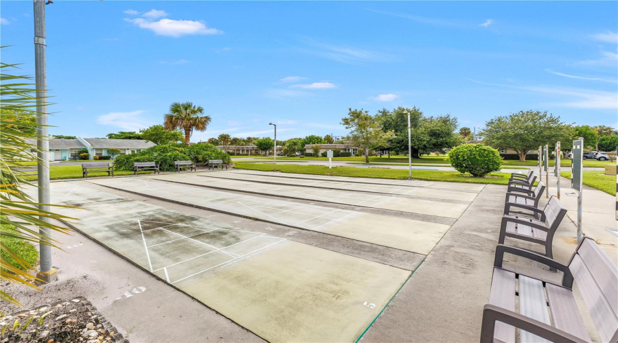 Community Shuffle Board Court