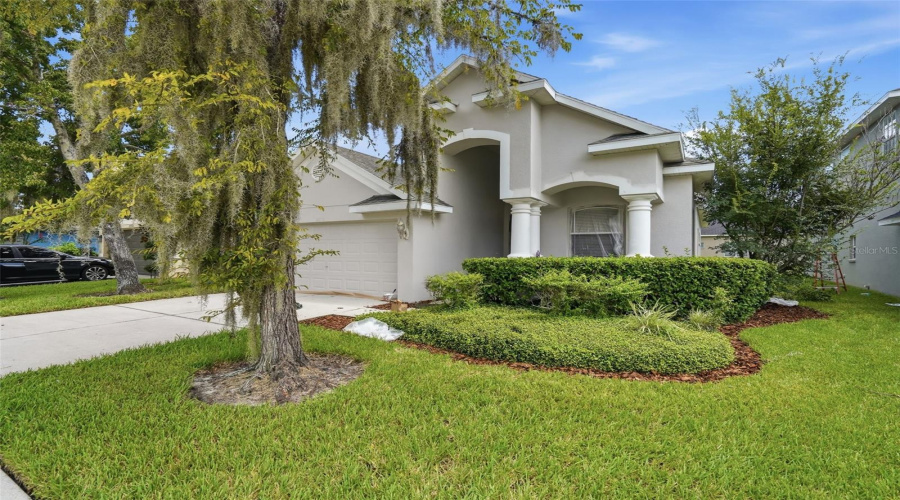 Wesley Chapel, Florida 33543, 3 Bedroom Bedrooms, ,2 Bathroombathrooms,Residential,For Sale,Pumpkin Ridge,0,Mfro6430532