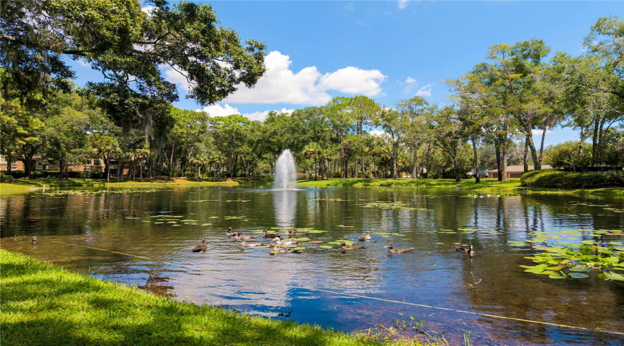 Longwood, Florida 32779, 2 Bedroom Bedrooms, ,2 Bathroombathrooms,Residential,For Sale,Clubside,0,Mfro6436028