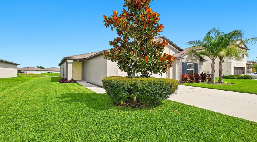 Zephyrhills, Florida 33540, 4 Bedroom Bedrooms, ,2 Bathroombathrooms,Residential,For Sale,Harvest Creek,0,Mfrtb8539521