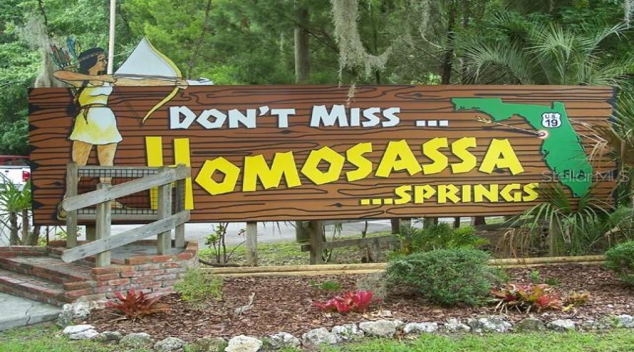 Homosassa Springs