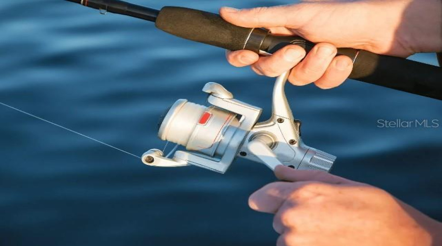 So Many Activities At Your Fingertips!