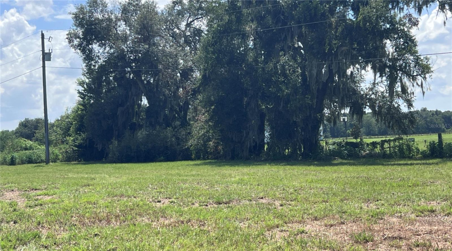 Oxford, Florida 34484, 3 Bedroom Bedrooms, ,2 Bathroombathrooms,Residential,For Sale,Hwy 466,0,Mfrg5116609