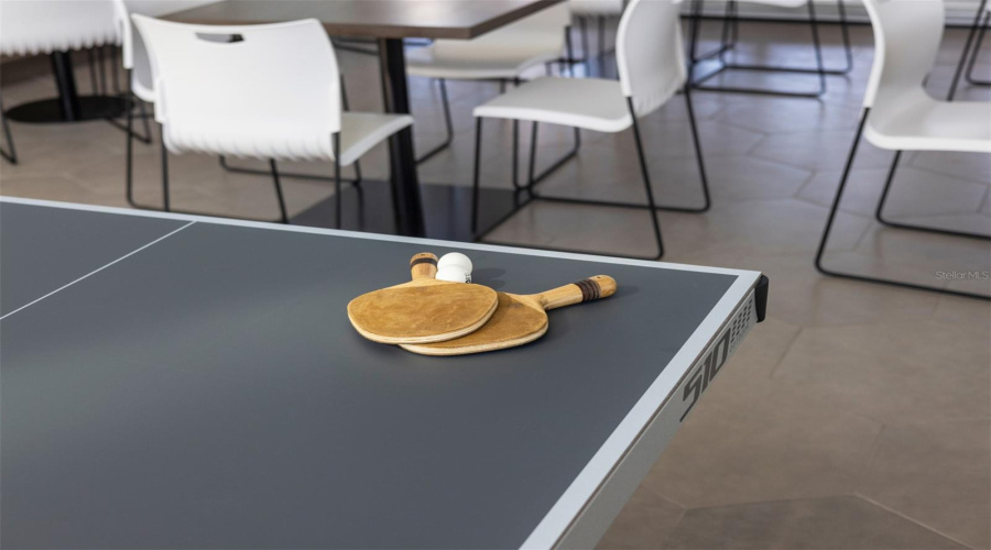 Meridian Parks Community Ping Pong Table
