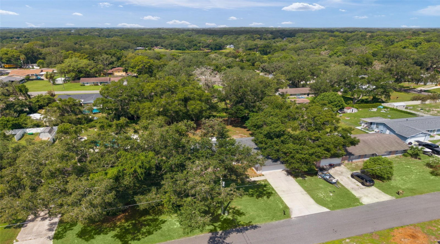 Fruitland Park, Florida 34731, 3 Bedroom Bedrooms, ,2 Bathroombathrooms,Residential,For Sale,Pine Tree,0,Mfrg5116924