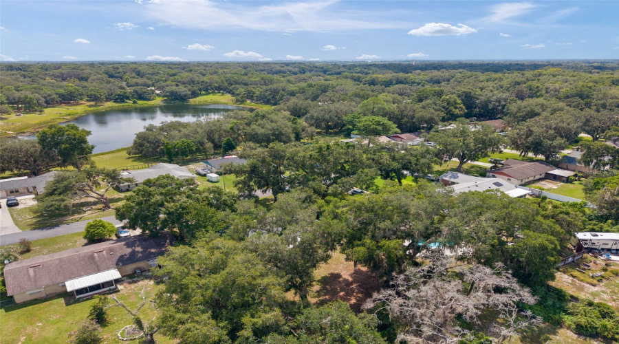 Fruitland Park, Florida 34731, 3 Bedroom Bedrooms, ,2 Bathroombathrooms,Residential,For Sale,Pine Tree,0,Mfrg5116924