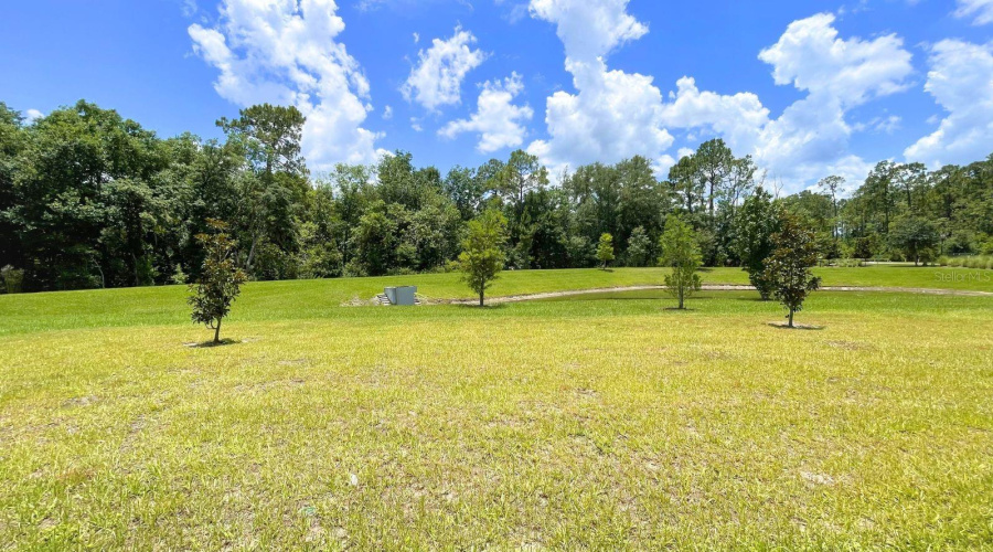 Clermont, Florida 34714, 4 Bedroom Bedrooms, ,2 Bathroombathrooms,Residential,For Sale,Winding Preserve,0,Mfrs5151911