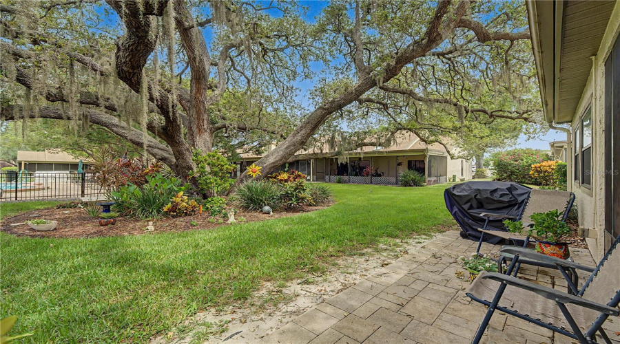 Tarpon Springs, Florida 34689, 2 Bedroom Bedrooms, ,2 Bathroombathrooms,Residential,For Sale,Palm,0,Mfrtb8525549