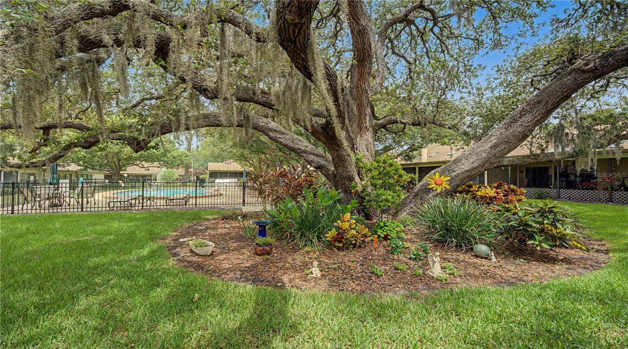 Tarpon Springs, Florida 34689, 2 Bedroom Bedrooms, ,2 Bathroombathrooms,Residential,For Sale,Palm,0,Mfrtb8525549