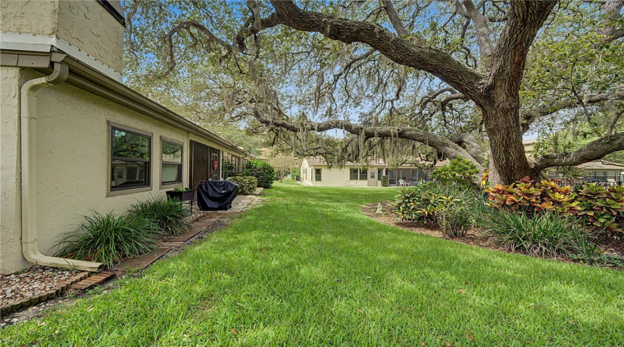 Tarpon Springs, Florida 34689, 2 Bedroom Bedrooms, ,2 Bathroombathrooms,Residential,For Sale,Palm,0,Mfrtb8525549