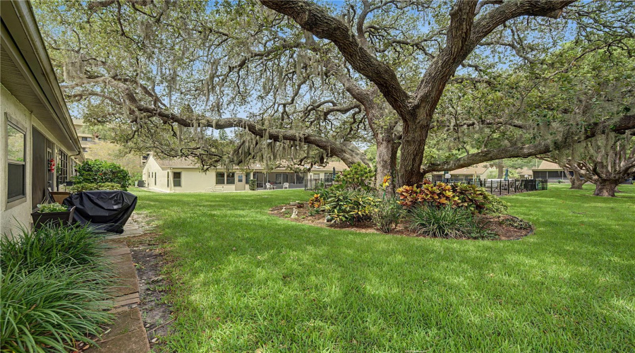 Tarpon Springs, Florida 34689, 2 Bedroom Bedrooms, ,2 Bathroombathrooms,Residential,For Sale,Palm,0,Mfrtb8525549
