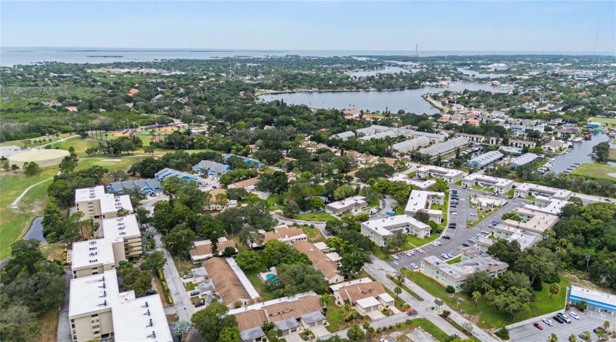 Tarpon Springs, Florida 34689, 2 Bedroom Bedrooms, ,2 Bathroombathrooms,Residential,For Sale,Palm,0,Mfrtb8525549
