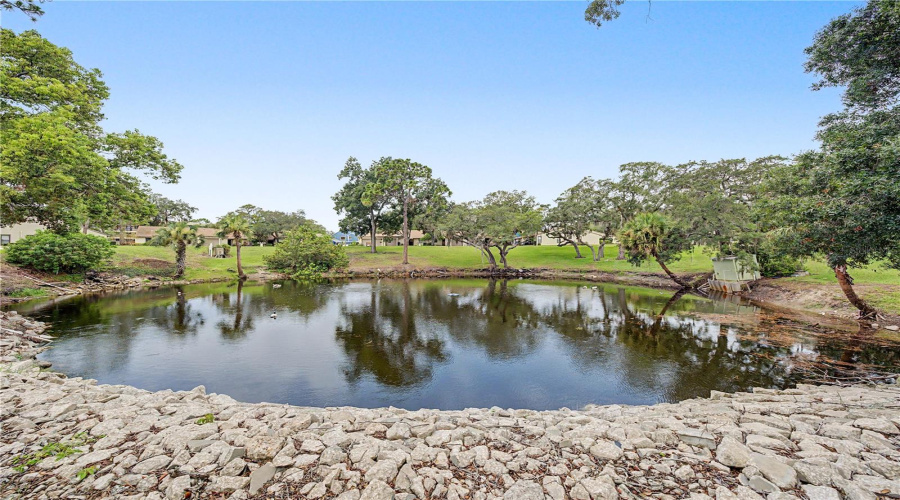 Tarpon Springs, Florida 34689, 2 Bedroom Bedrooms, ,2 Bathroombathrooms,Residential,For Sale,Palm,0,Mfrtb8525549