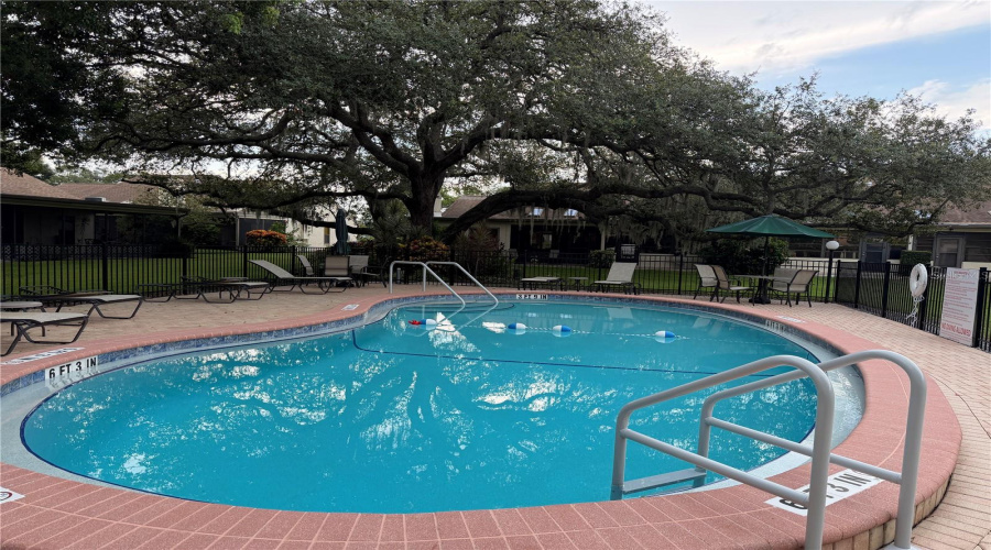Tarpon Springs, Florida 34689, 2 Bedroom Bedrooms, ,2 Bathroombathrooms,Residential,For Sale,Palm,0,Mfrtb8525549