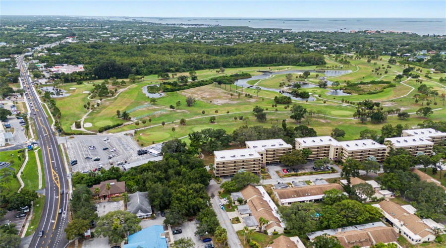 Tarpon Springs, Florida 34689, 2 Bedroom Bedrooms, ,2 Bathroombathrooms,Residential,For Sale,Palm,0,Mfrtb8525549