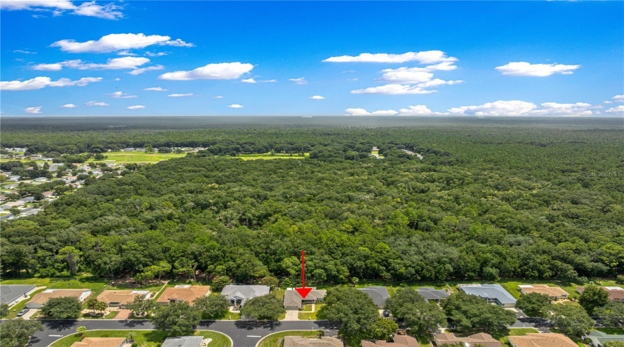 Dunnellon, Florida 34432, 2 Bedroom Bedrooms, ,2 Bathroombathrooms,Residential,For Sale,115Th,0,Mfrom730930