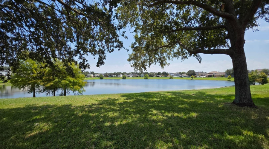 Orlando, Florida 32828, 4 Bedroom Bedrooms, ,2 Bathroombathrooms,Residential,For Sale,Phoenix,0,Mfrs5156192