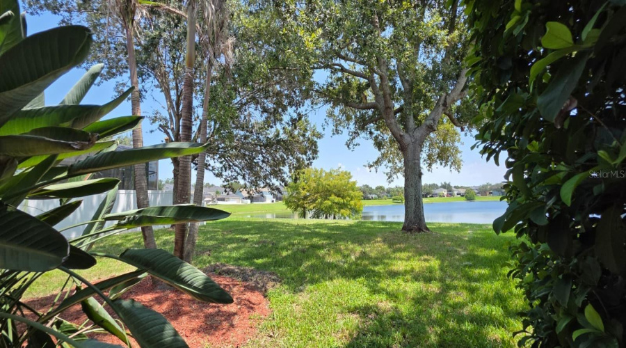 Orlando, Florida 32828, 4 Bedroom Bedrooms, ,2 Bathroombathrooms,Residential,For Sale,Phoenix,0,Mfrs5156192