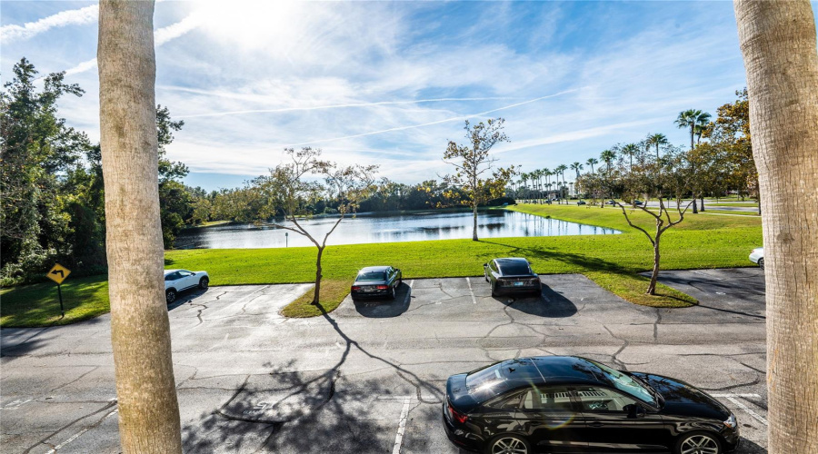 Celebration, Florida 34747, 1 Bedroom Bedrooms, ,1 Bathroombathrooms,Residential,For Sale,Siena Palm,0,Mfro6364377