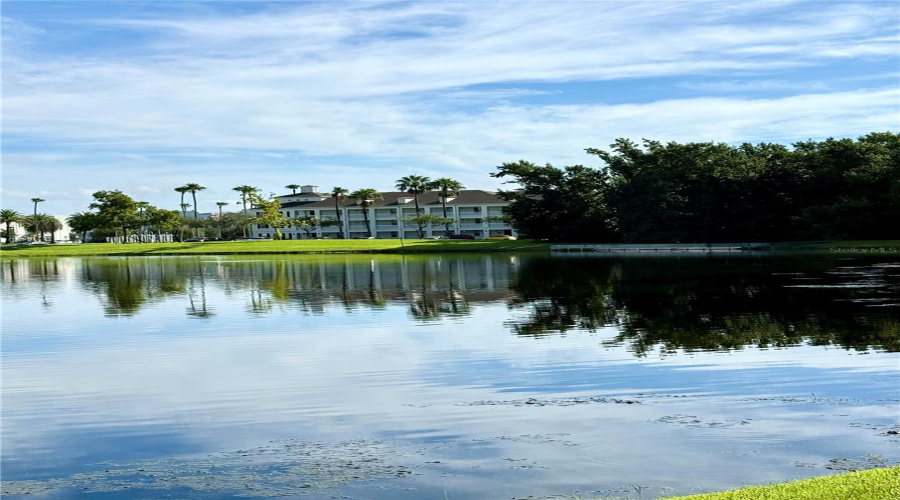 Celebration, Florida 34747, 1 Bedroom Bedrooms, ,1 Bathroombathrooms,Residential,For Sale,Siena Palm,0,Mfro6364377