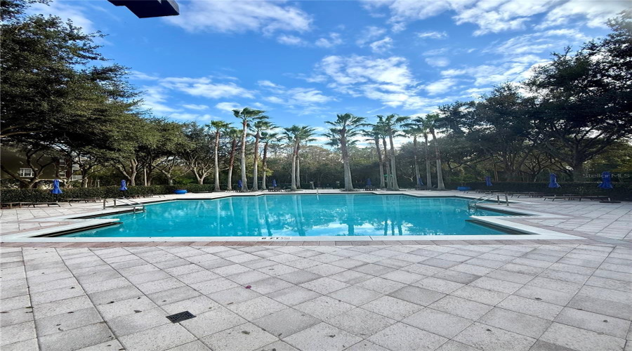 Celebration, Florida 34747, 1 Bedroom Bedrooms, ,1 Bathroombathrooms,Residential,For Sale,Siena Palm,0,Mfro6364377