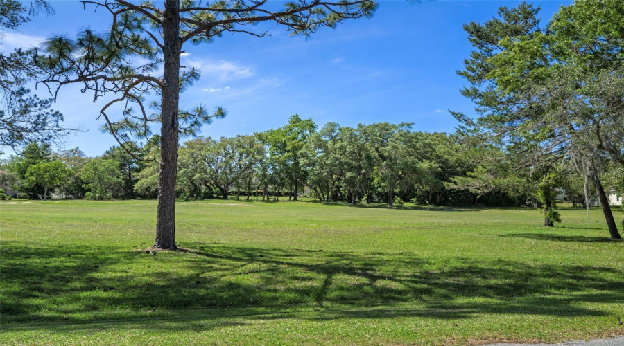 Homosassa, Florida 34446, 3 Bedroom Bedrooms, ,2 Bathroombathrooms,Residential,For Sale,Byrsonima,0,Mfrom717777