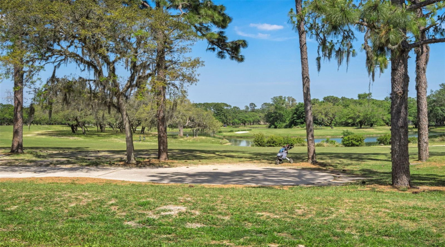 Homosassa, Florida 34446, 3 Bedroom Bedrooms, ,2 Bathroombathrooms,Residential,For Sale,Byrsonima,0,Mfrom717777