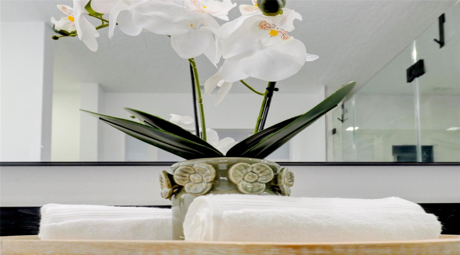 Safety Harbor, Florida 34695, 4 Bedroom Bedrooms, ,3 Bathroombathrooms,Residential,For Sale,Briarwood,0,Mfrtb8509582