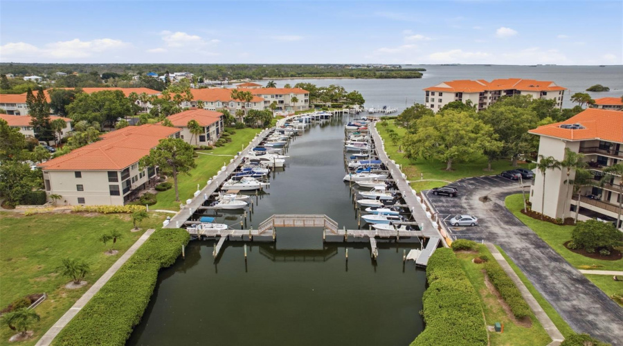 Tarpon Springs, Florida 34689, 2 Bedroom Bedrooms, ,2 Bathroombathrooms,Residential,For Sale,Mariner,0,Mfrtb8510783