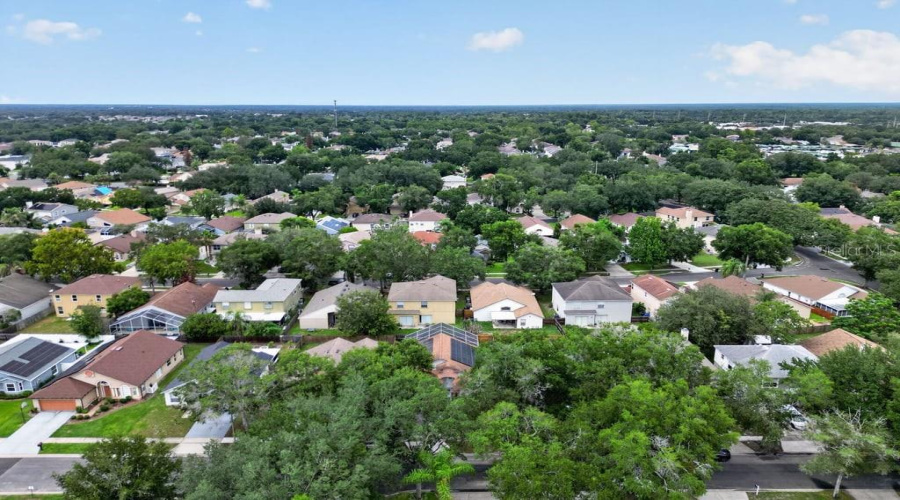 Aerial View Of The Surrounding Neighborhood.