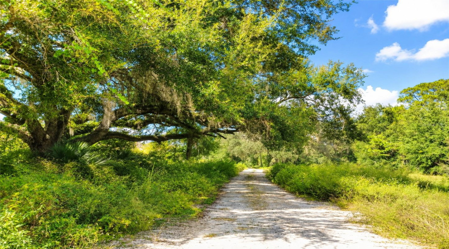 Bushnell, Florida 33513, 3 Bedroom Bedrooms, ,2 Bathroombathrooms,Residential,For Sale,44Th,0,Mfrw7880602