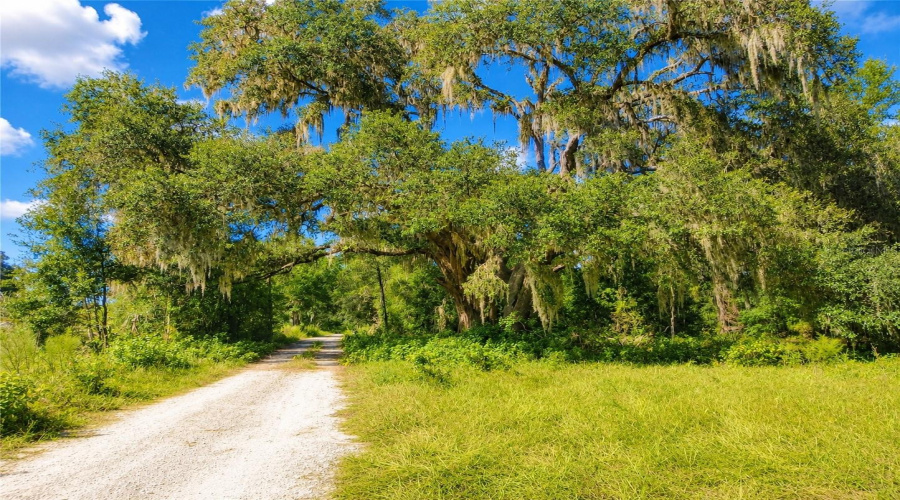 Bushnell, Florida 33513, 3 Bedroom Bedrooms, ,2 Bathroombathrooms,Residential,For Sale,44Th,0,Mfrw7880602