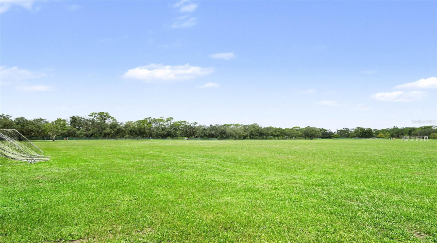 Lakewood Ranch, Florida 34202, 4 Bedroom Bedrooms, ,3 Bathroombathrooms,Residential,For Sale,Cattle Egret Pl,0,Mfrtb8531592