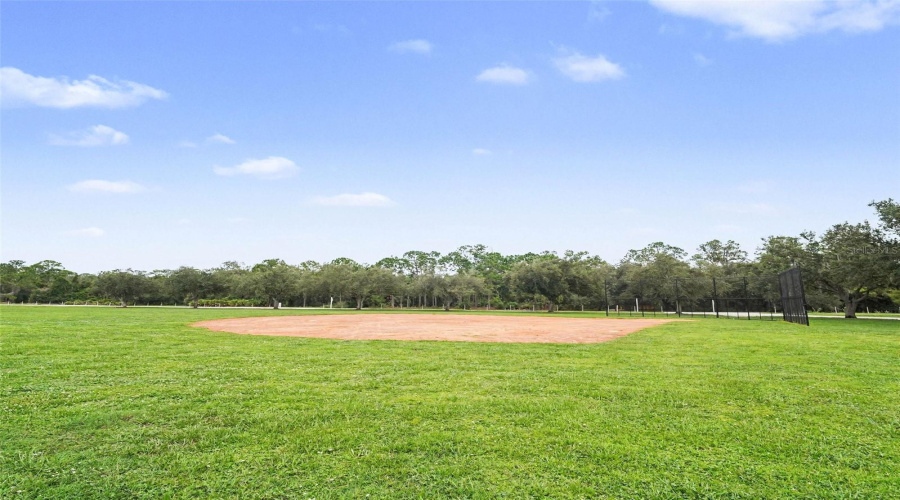 Lakewood Ranch, Florida 34202, 4 Bedroom Bedrooms, ,3 Bathroombathrooms,Residential,For Sale,Cattle Egret Pl,0,Mfrtb8531592