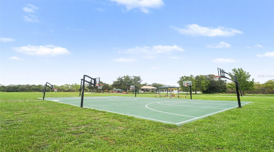 Lakewood Ranch, Florida 34202, 4 Bedroom Bedrooms, ,3 Bathroombathrooms,Residential,For Sale,Cattle Egret Pl,0,Mfrtb8531592