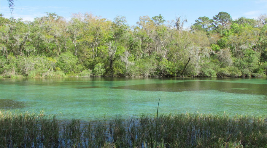 Dunnellon, Florida 34432, 3 Bedroom Bedrooms, ,2 Bathroombathrooms,Residential,For Sale,108Th,0,Mfrtb8535133