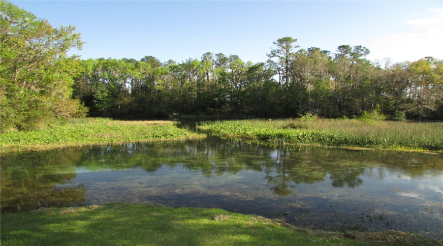 Dunnellon, Florida 34432, 3 Bedroom Bedrooms, ,2 Bathroombathrooms,Residential,For Sale,108Th,0,Mfrtb8535133