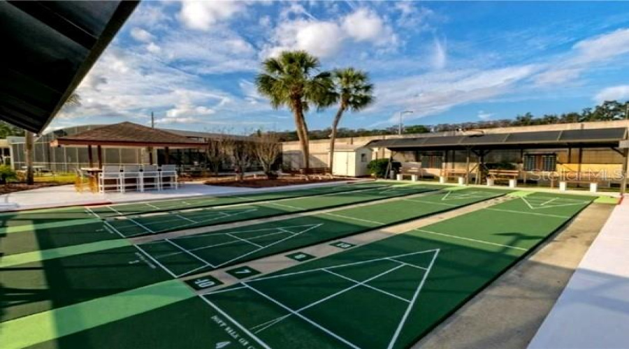 Shuffle Board Courts