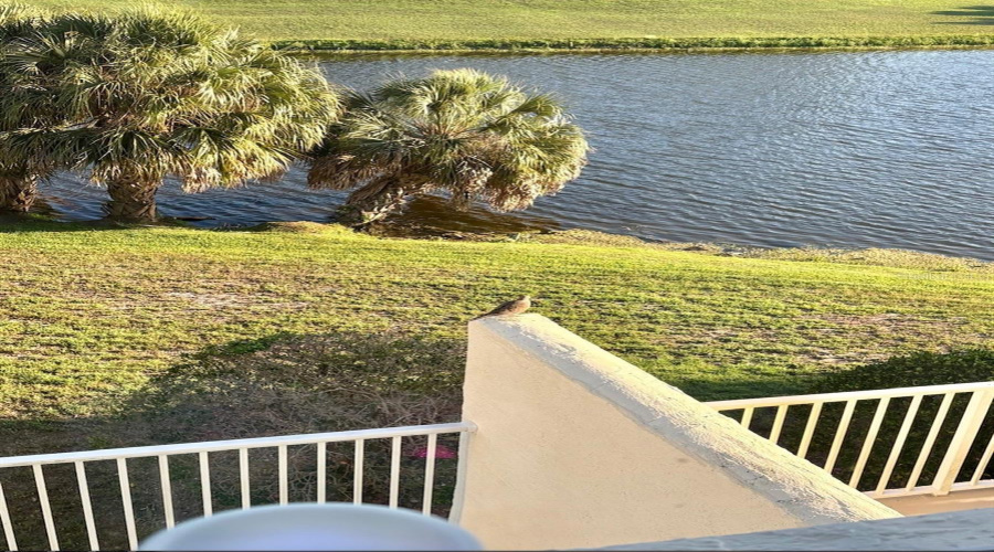 Largo, Florida 33771, 2 Bedroom Bedrooms, ,2 Bathroombathrooms,Residential,For Sale,Country Club,0,Mfrtb8525088